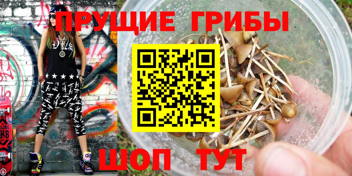 Галлюциногенные грибы мухоморы Кизляр