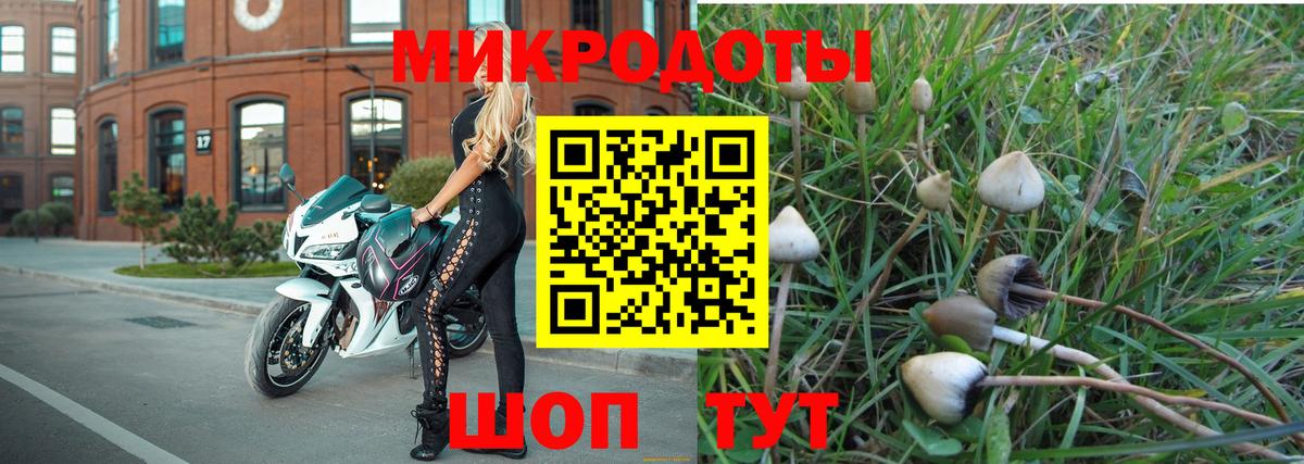 Кизляр  Псилоцибиновые грибы Magic Shrooms  Вход с VPN 